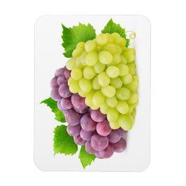 Rote und weiße Trauben Magnet