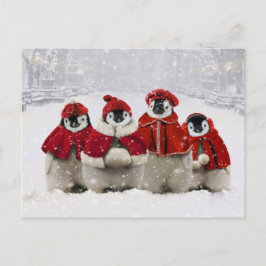 Rote und weiße Weihnachtspinguine-Design Feiertagspostkarte