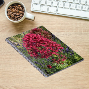 Rote Valerianblüten Floral Notizblock