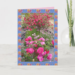 Rote Vintage Rose Rose Garten Blume Karte