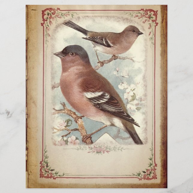 Rote Vögel auf einem Zweigbuch (Vorderseite)