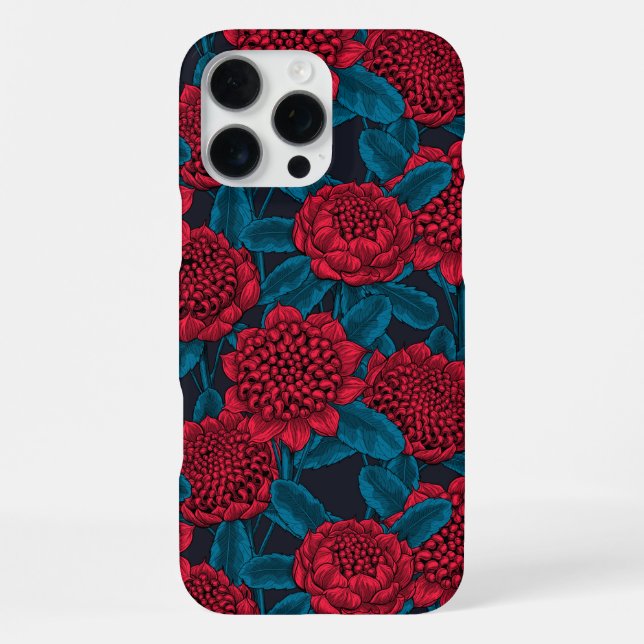 Rote Waratah-Blüten iPhone Hülle (Rückseite)