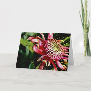 rote Waratah Feiertagskarte
