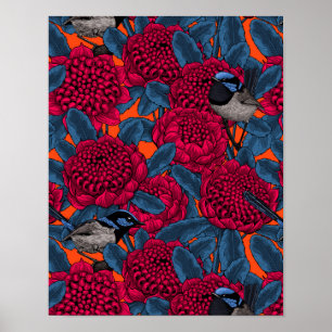 Rote Waratah und Feen Poster