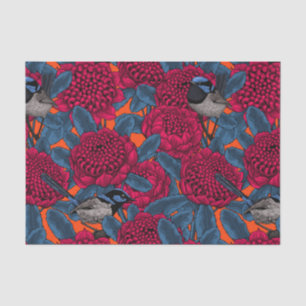 Rote Waratah und Feen Seidenpapier