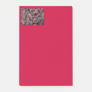 Rote Weihnachtskugeln Post-it Klebezettel