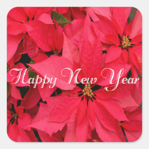 Rote Weihnachtssterne Blumen Floral Frohes Neues J Quadratischer Aufkleber