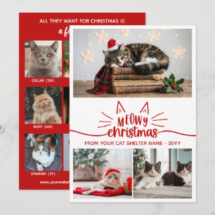Rote-Weiße-Katzenheim-Fotos Frohe Weihnachten