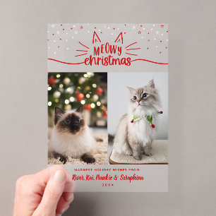 Rote Weiße Sterne 2 Katzenfotos Meowy Weihnachten Acryleinladungen