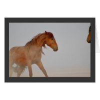 ROTE WILD PFERDE UTAH IN WESTERN DESERT