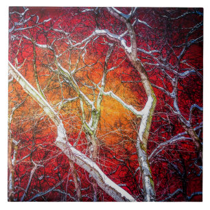 Rote Winternacht Fliese