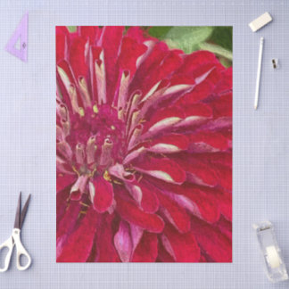 Rote Zinnien Blumen Seidenpapier