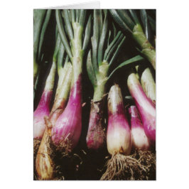 Rote Zonen in Bauern Pflanzenmarkt