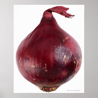 Rote Zwiebel auf weißem Hintergrund abgeschieden, Poster