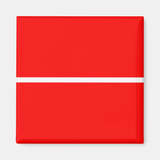 Roter 001-Magnet Magnet