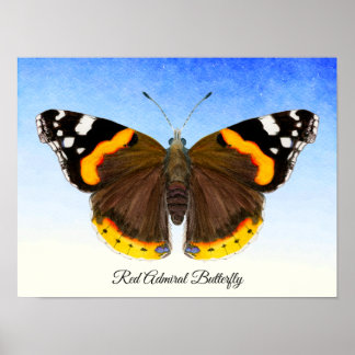 Roter Admiral Butterfly Aquarellmaler Poster