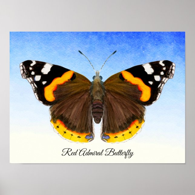 Roter Admiral Butterfly Aquarellmaler Poster (Vorne)