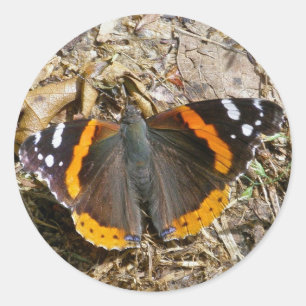 Roter Admiral Butterfly-Aufkleber Runder Aufkleber