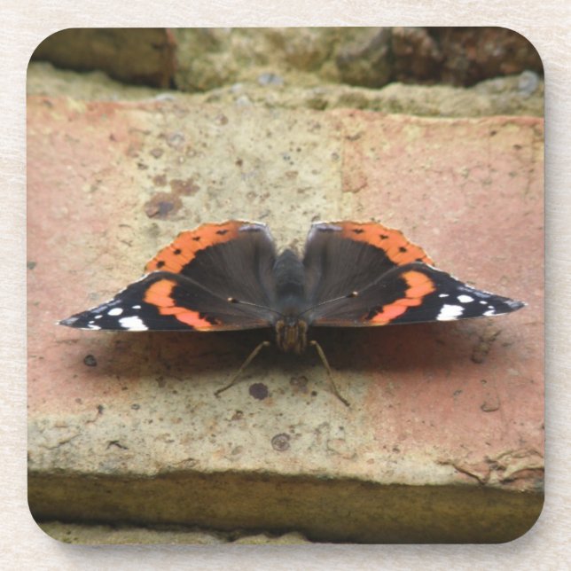 Roter Admiral Butterfly Cork Untersetzer (Vorderseite)