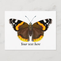 Roter Admiral Butterfly Kulturpass