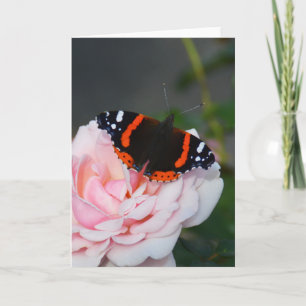 Roter Admiral Schmetterling Karte