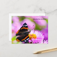 Roter Admiral Schmetterling Postkarte