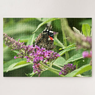 Roter Admiral Schmetterling Puzzle