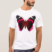 Roter Admiral