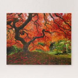 Roter Ahorn im Herbst im japanischen Garten Portla Puzzle