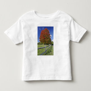 Roter Ahornbaum in Herbstfarben, in der Nähe von C Kleinkind T-shirt