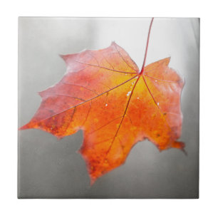 Roter Ahornleaf - Mystischer Herbst Fliese
