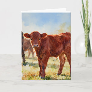 Roter Angus-Kalbstudie A in Aquarell Karte