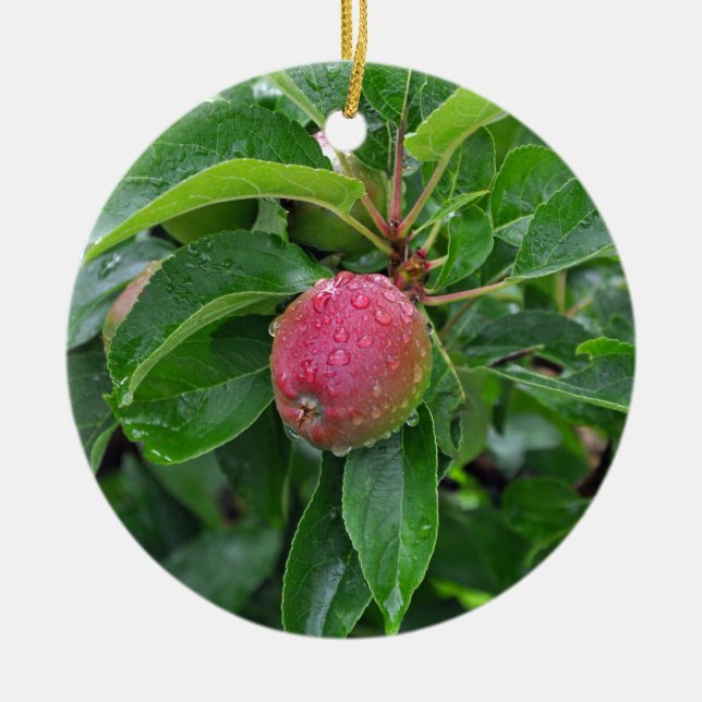 Roter Apfel auf Baum Keramik Ornament (Vorne)