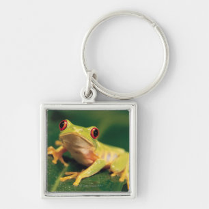 Roter Augenbaumfrosch Schlüsselanhänger