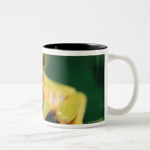 Roter Augenbaumfrosch Zweifarbige Tasse