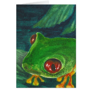 roter Augengrün-Baumfrosch