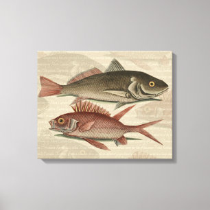 Roter Barsch Fischermann Kunst Leinwanddruck