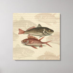 Roter Barsch Fischermann Kunst Leinwanddruck