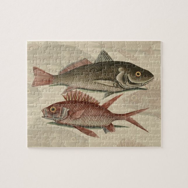 Roter Barsch Fischermann Kunst Puzzle (Horizontal)