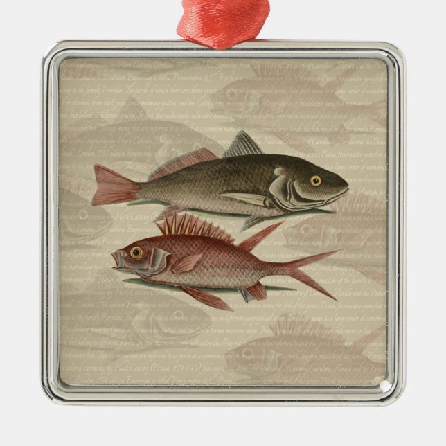 Roter Barsch Fischermann Kunst Silbernes Ornament (Vorne)