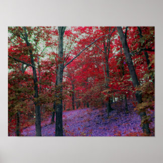 Roter Baumbestand-Poster Poster