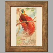 Roter Bird of Paradise, Gallery Wall Set von 6, 1/