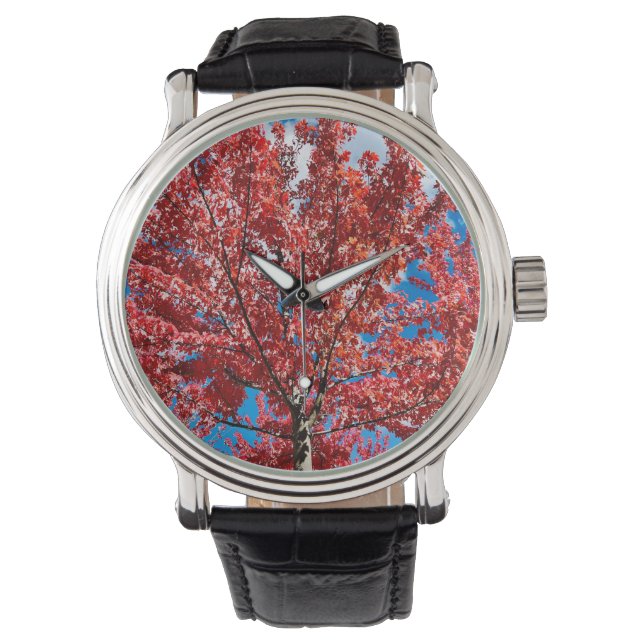 Roter Blätterbaum im Herbst Armbanduhr (Vorderseite)