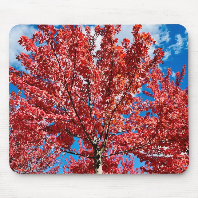 Roter Blätterbaum im Herbst Mousepad (Vorne)