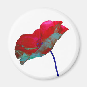 Roter Blaumohn auf Weiß Magnet