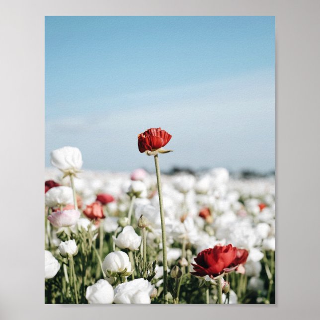 Roter Blumenaufdruck, Value Poster Paper (Halbglan (Vorne)