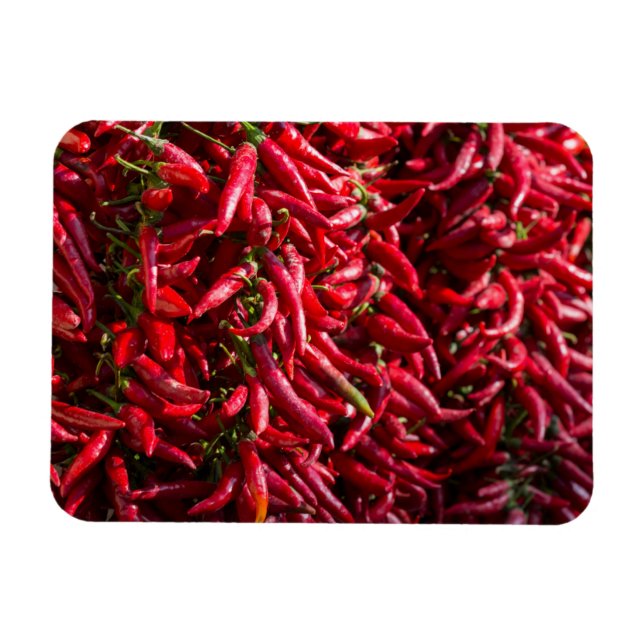 Roter Chili in Kalocsa Magnet (Horizontal)