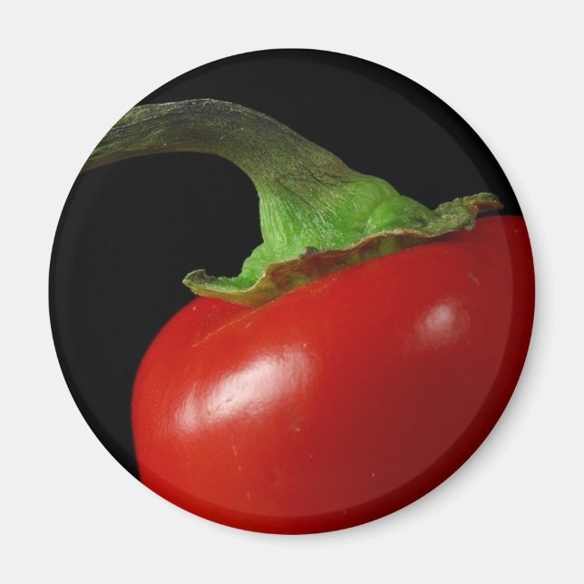 Roter Chili Magnet (Vorne)