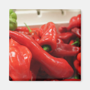 roter Chili-Magnet, Küche, Magnet