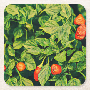 Roter Chili Paprikaschoten Square Untersetzer